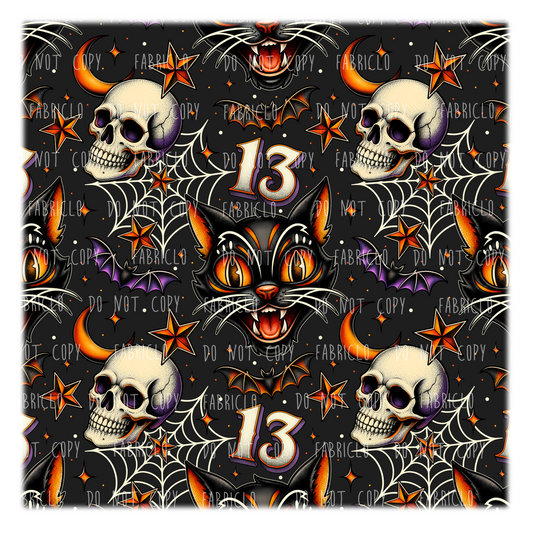 Black 13 Cat